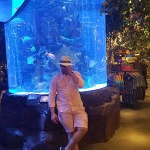 Meet your Posher, Osmani